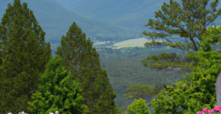 Mountain Laurel Recovery Center