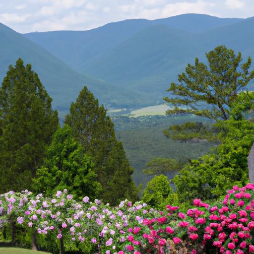 Mountain Laurel Recovery Center